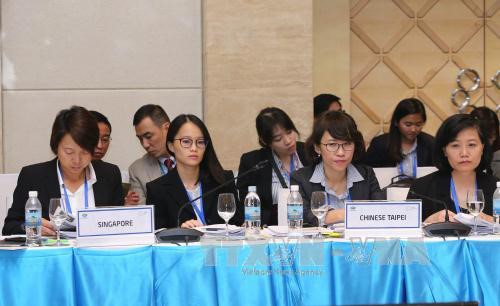 APEC member economies share health care achievements, fight diseases - ảnh 1